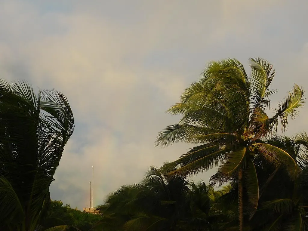 Playa Las Palmas Tulum 0*,