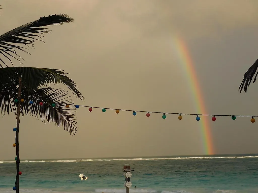 Playa Las Palmas Tulum
